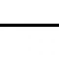 1548704955