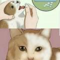 1521307681
