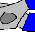 1556617669
