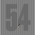 1557170562