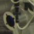 1556034427