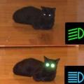 1497598931