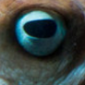 1536164548