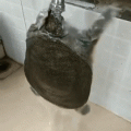 1557425378