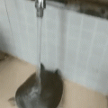 1557424881