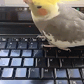 1487494140