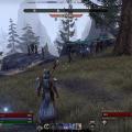 1425251447