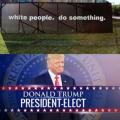 1520272761