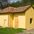 1462046036