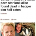 1557316916