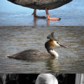 1555781571