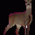 1429596372