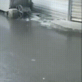 1551820838