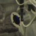 1556086083