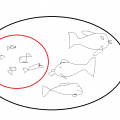 1549304968