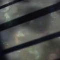 1431089080