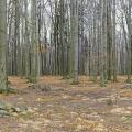 1489765774