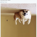 1532189409