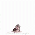 1541899789