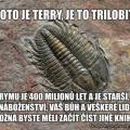 1411473005